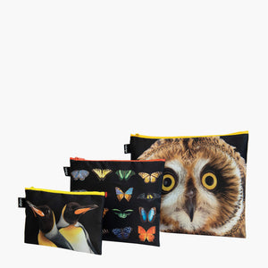 ZIP POCKETS - NATIONAL GEOGRAPHIC Owl, Butterflies, Penguins